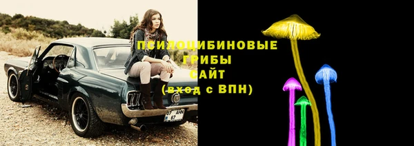 спайс Белокуриха